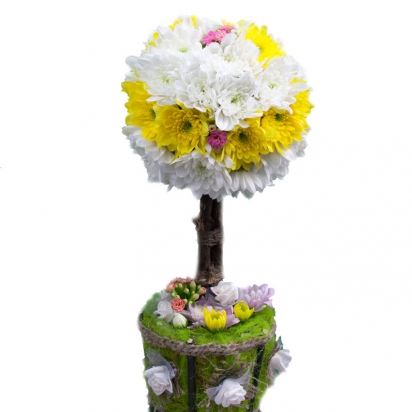 Композиция в кашпо